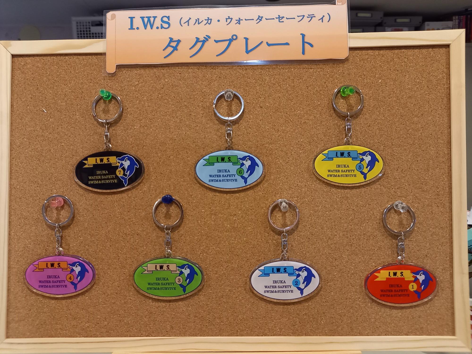 スイム&サバイブ